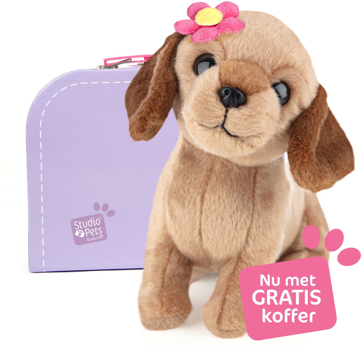 Studio Pets® Premium Knuffel Dachshund Hond Daisy 16 cm met roze bloempje en GRATIS koffer – Zachte Knuffel voor kinderen