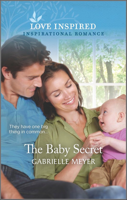 The Baby Secret - cover