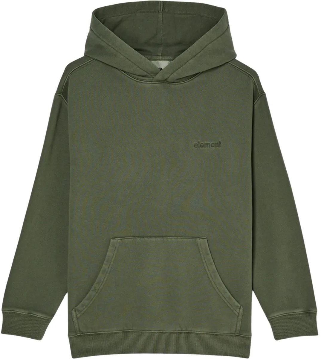 Element Lowcase Pigment Hoodie 16 Years Jongen Groen
