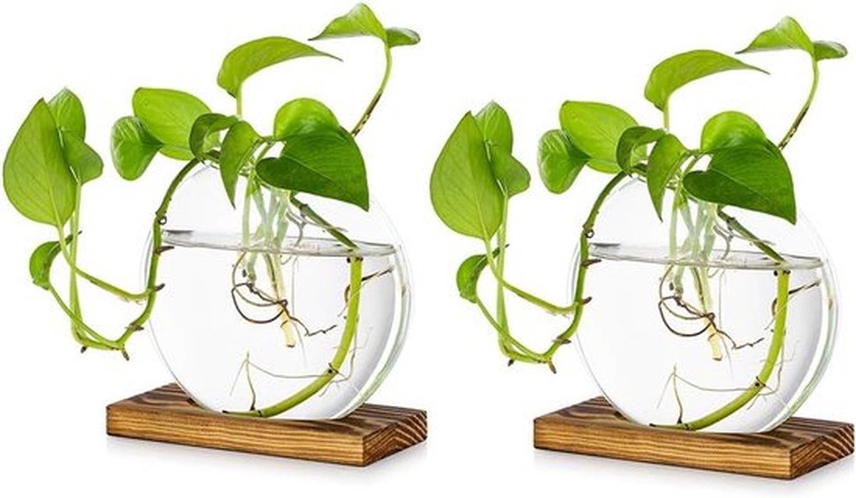 SnelShoppen - Tabletop Hanging Glass Planter Set van 2 - Moderne Bloem Bud Vaas met Houten Stand - Terrarium voor Hydroponische Planten en Snijbloemen