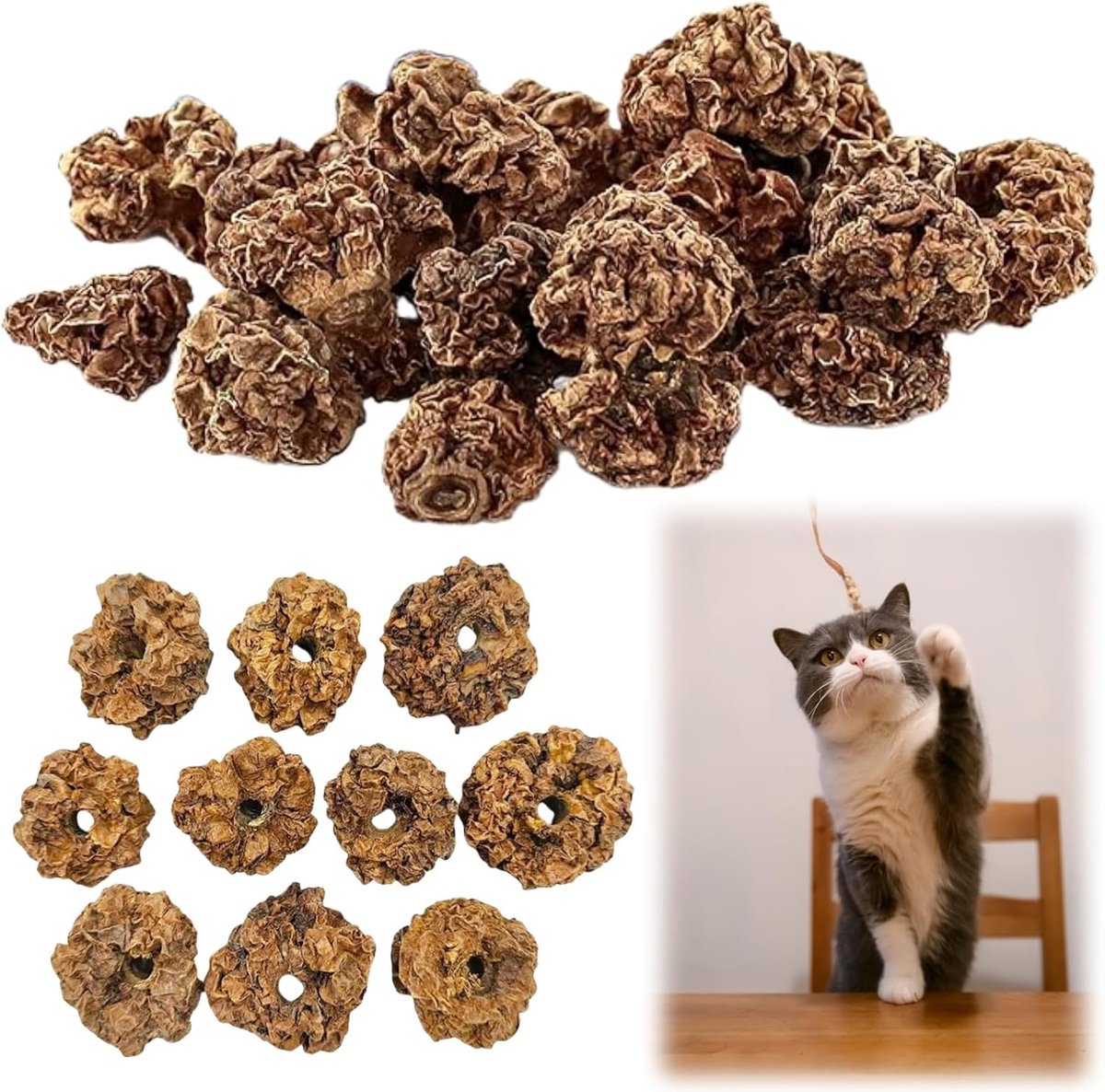 Thijox - Fruitspeelgoed voor katten, eetbaar en tandreinigend, 20 stuks, ideaal voor kittens, stimuleert kauwgedrag, gezonde tanden en spelplezier