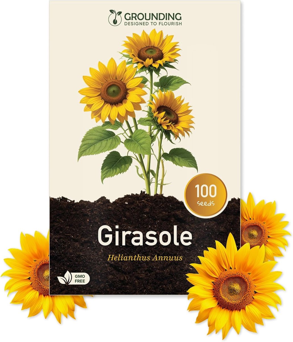 SnelShoppen - Dwergezonnebloem Zaden Goudgeel, 500 Zaden, Hoogte 40-60 cm - Helianthus annuus voor Tuin, Borders, Potten en Bloembedden - Eenvoudig Te