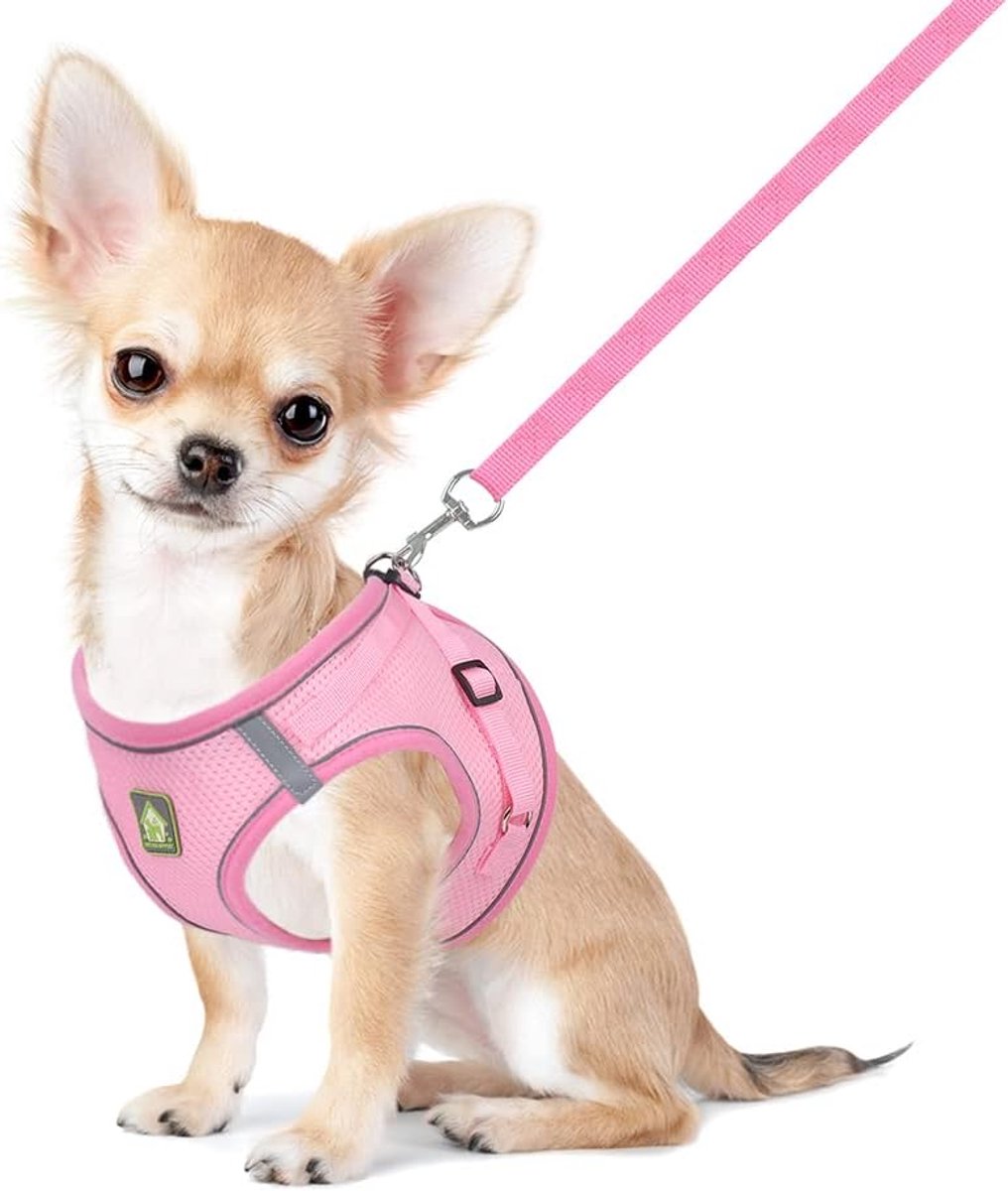 SnelShoppen - Dierenharnas voor Katten en Kleine Honden - Verstelbare, Ademend en Reflecterende Mesh Tuig met Leash - Anti-ontsnapping en Comfortabel