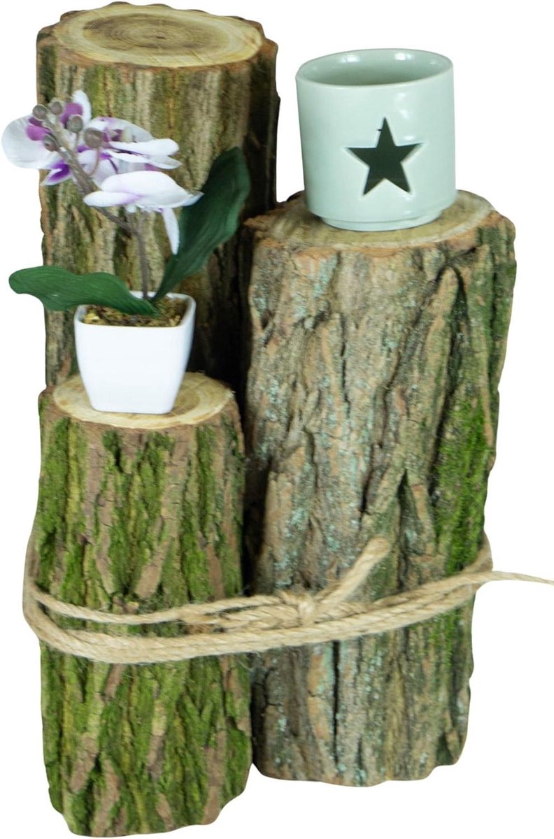 Decoratieve boomstammen - Houten display - Interieur aankleden - Set van 3 - Tot 37 cm hoog - Eiken