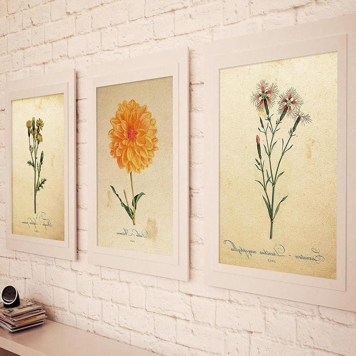 Posters Botanische Illustraties - Decoratie Vellen - Woonkamer Decoreren - 250 Gram Papier - A4 Formaat - Botanisch