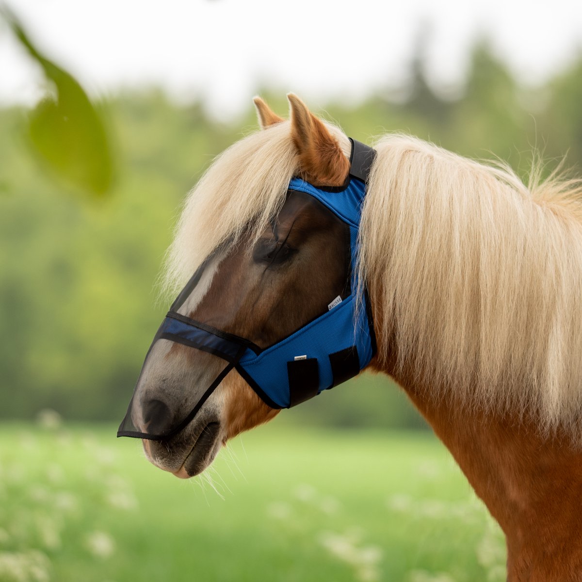 Busse Vliegenmasker Fly Guard Free Plus-Blue-Cob