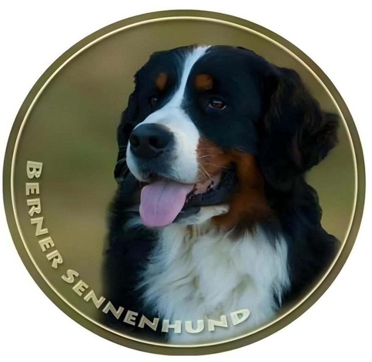 Solidchoice - Waterdichte Reflecterende Sticker Berner Sennenhond 15cm
