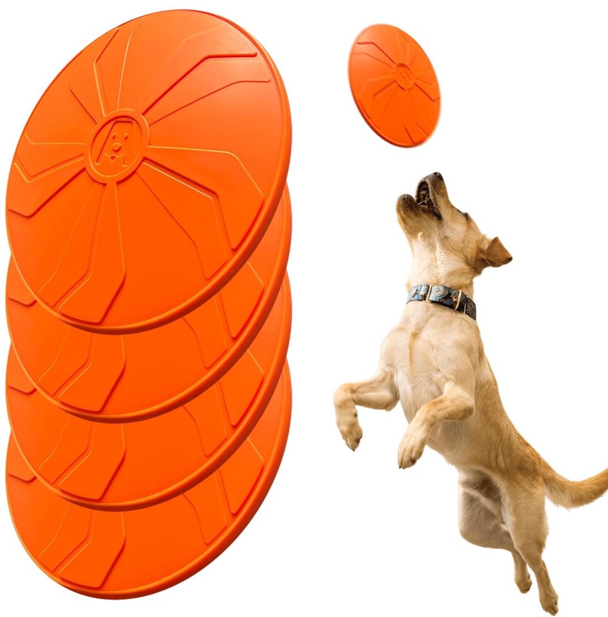 Solidchoice - Set van 4 Hondenfrisbees voor Training en Spel