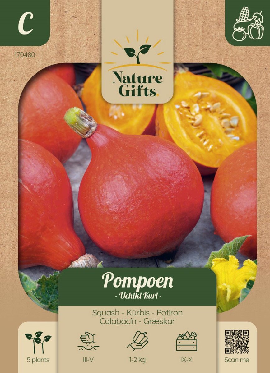 Pompoen Uchiki Kuri groentenzaad Nature Gifts Baltus