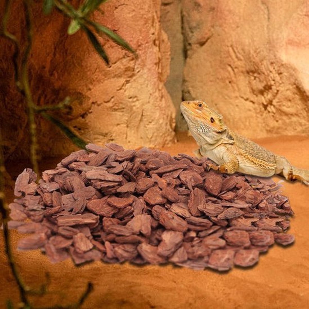 Bedding Reptiel Pine Bark Granule Box Bedding Substraat Blok voor Schildpadden Hagedissen Slangen(S) - Schors Bedding