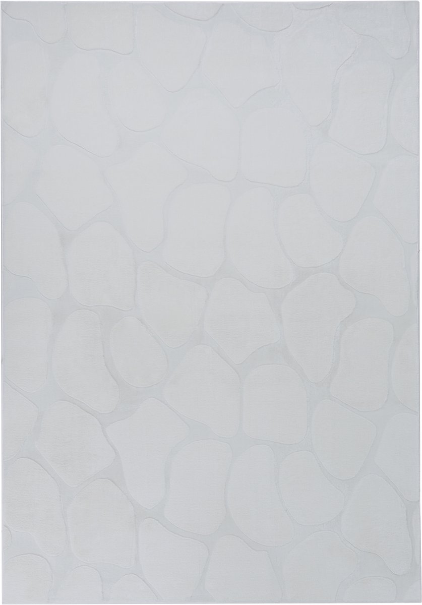 KAWI - Vloerkleed - Lichtgrijs - 160 x 230 cm - Polyester