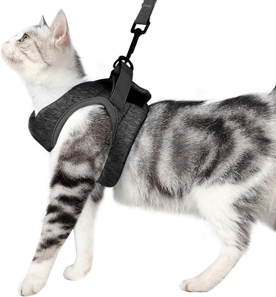 Kattenharnas comfortabel en ademend - verstelbaar en duurzaam - voorkomt ontsnappen - veilig wandelen - ShopVlot