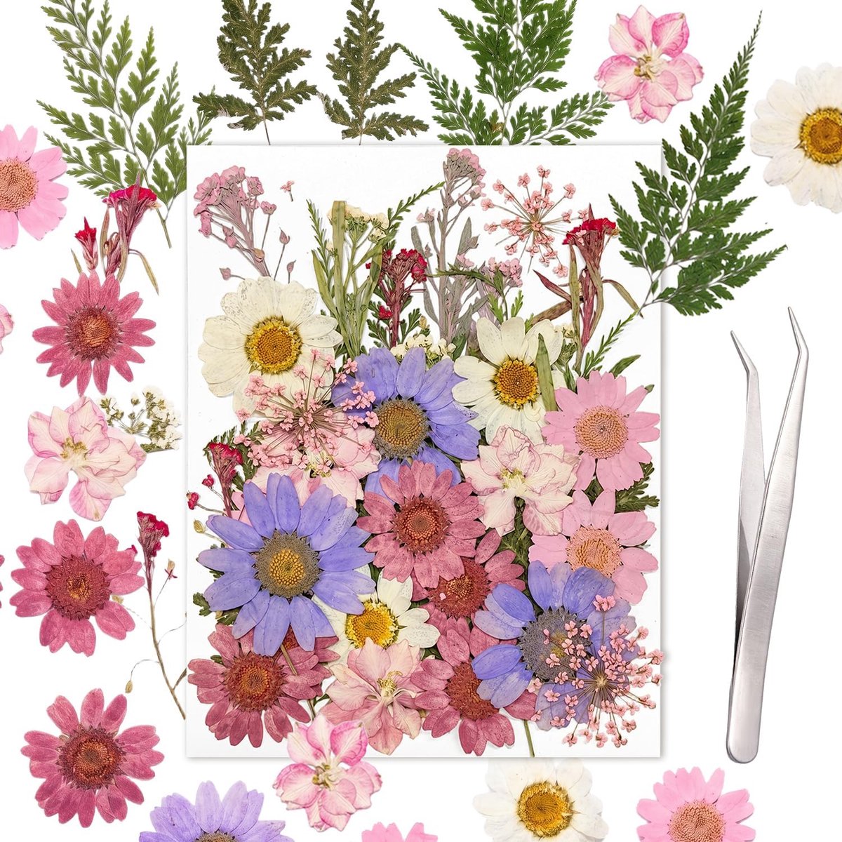 gedroogde bloemen set - 37 stuks - natuurlijke geperste bloemen - perfect voor ambachten - ShopVlot