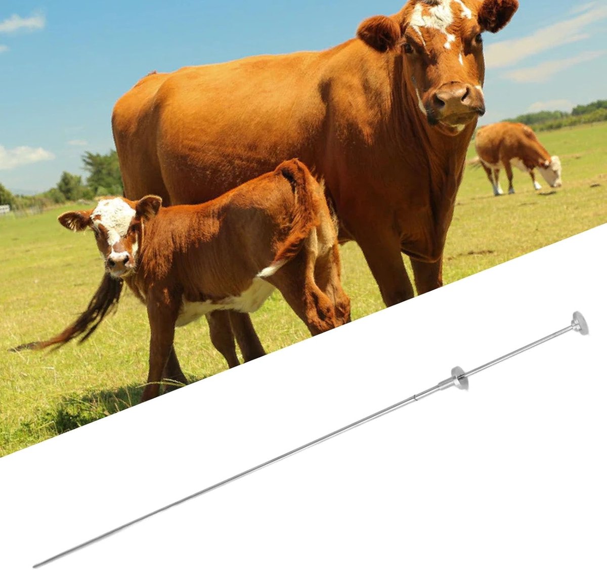 Topyond Stainless Steel 304 Stainless Steel Insemination Rod - ShopVlot