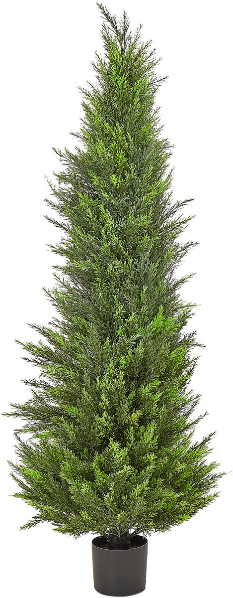 CEDAR TREE - Kunstplant - Groen - 153 cm - Synthetisch