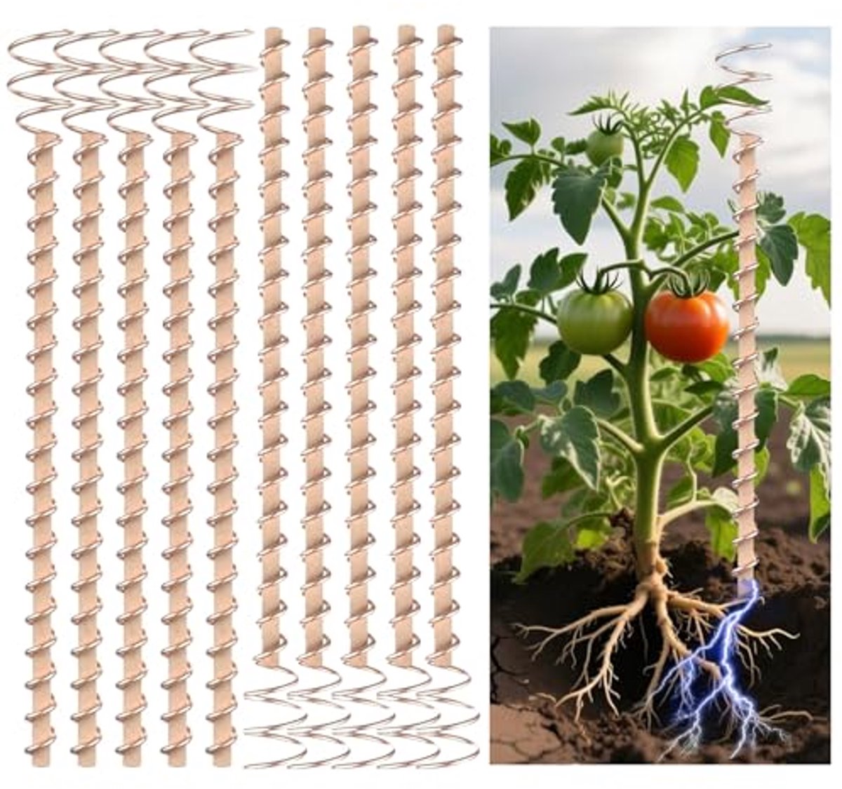 Tuinpaal - 12 inch elektro koper set 10 stuks spoelplantsteun milieuvriendelijk steun voor groenten en verbetering gewasopbrengst