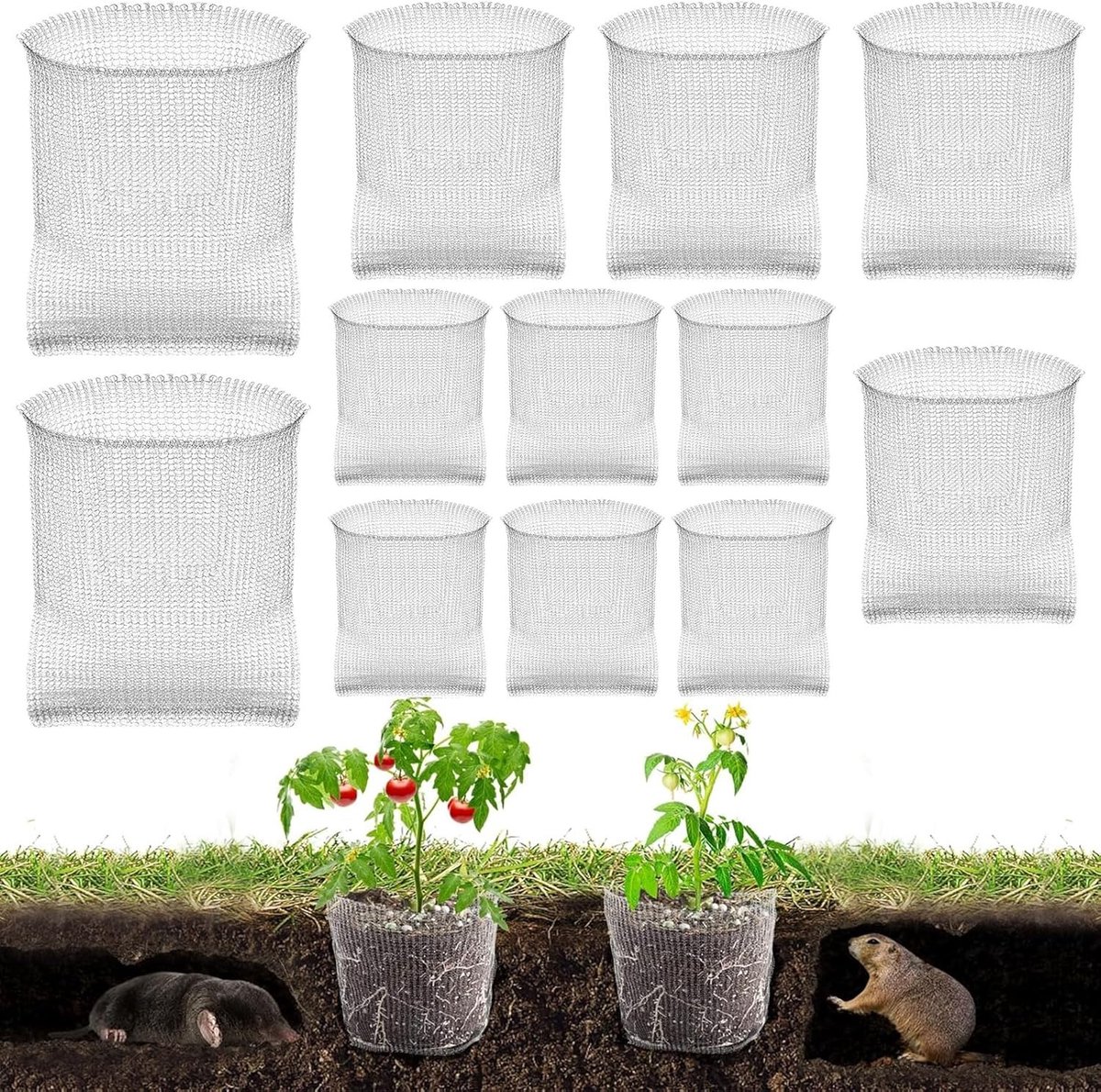 Plantenmand voor woelmuisbescherming, roestvrij staal, 12 stuks, metalen nettas voor wortelbescherming van fruitbomen, bloemen en groenten