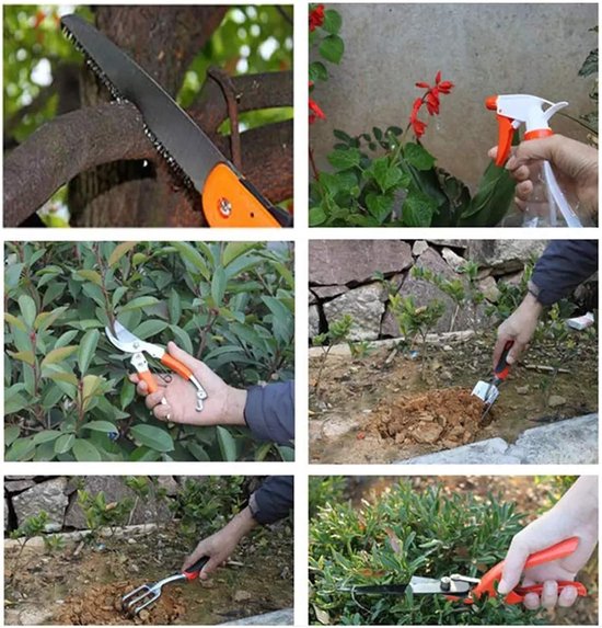 Tuingereedschap set - 10 delig - Tuinieren - Tuinset - Tuinonderhoud - Plantenschep - Tuinschep - Tuinhark - Bonsai Gereedschap Set - Bonsai boompje verzorgingskit - Tuingereedschap - schaar van Tuingereedschap. — afbeelding 4