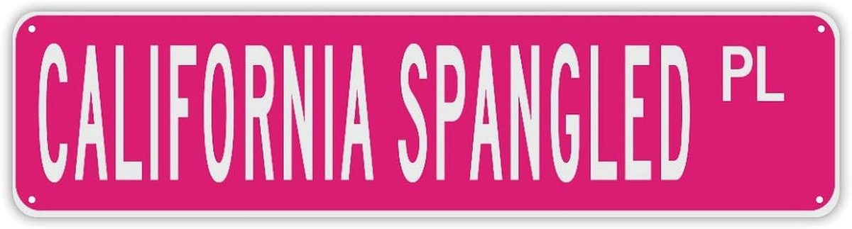 Gepersonaliseerd Naambord - Decoratief Metaal - Huis Decoratie - Op Maat Gemaakt - 24x6 Inch - Stijl 2