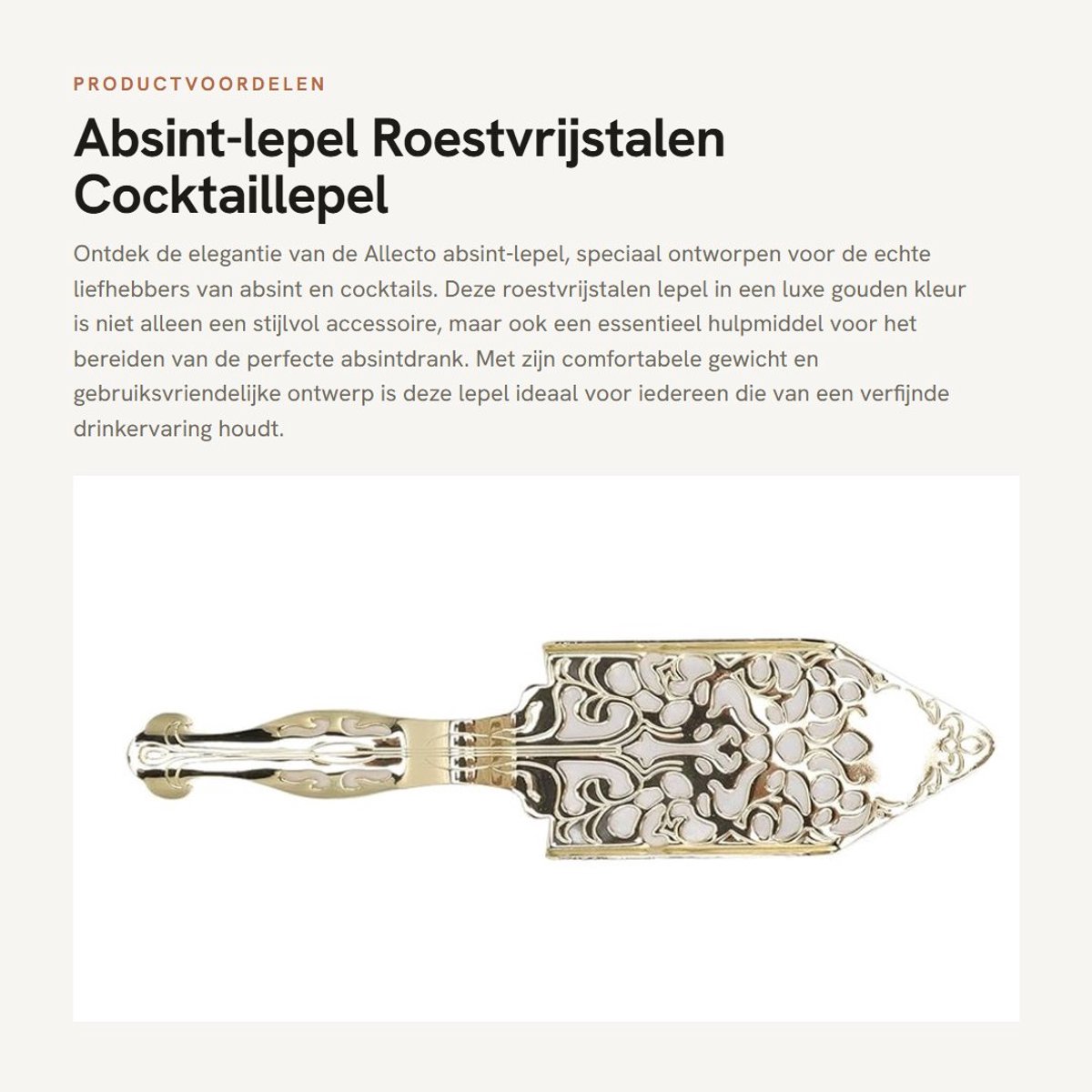 Dailygoods- Absint-lepel Roestvrij staal - Cocktailbar - Drinkfilterlepel - Eenvoudig te gebruiken - Comfortabel gewicht - Geschikt voor absintglas - Cocktaillepel