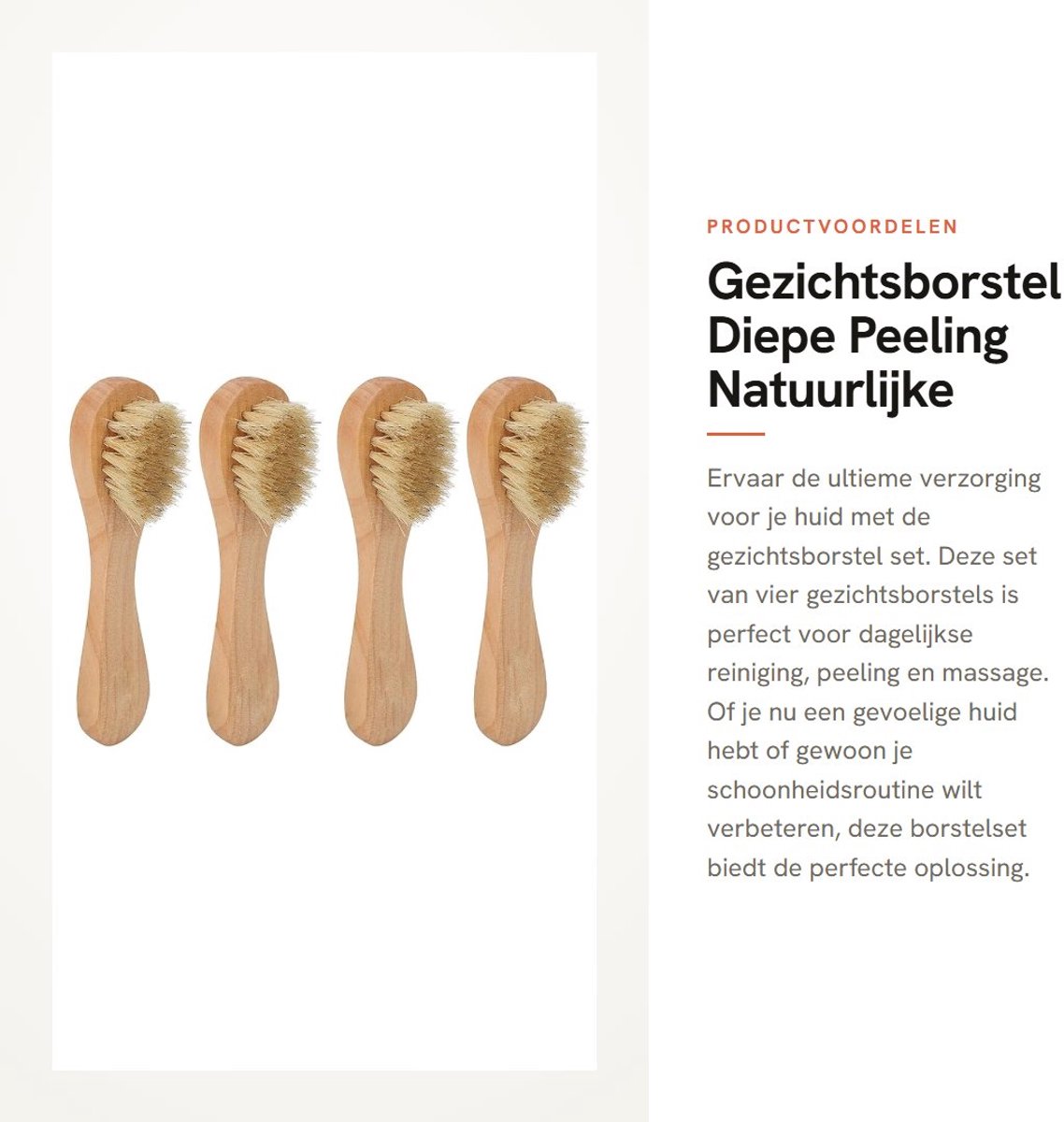 Dailygoods- Gezichtsborstel voor Diepe Peeling - 4 Stuks - Grashouten Handvat - Natuurlijke Zwijnenharen - Dagelijkse Reiniging - Massage - Scrubborstel