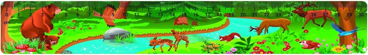 PVC Linialen Set - Meetlatten School - Tekenen en Meten - Vochtwerend Materiaal - 31 cm - Transparant