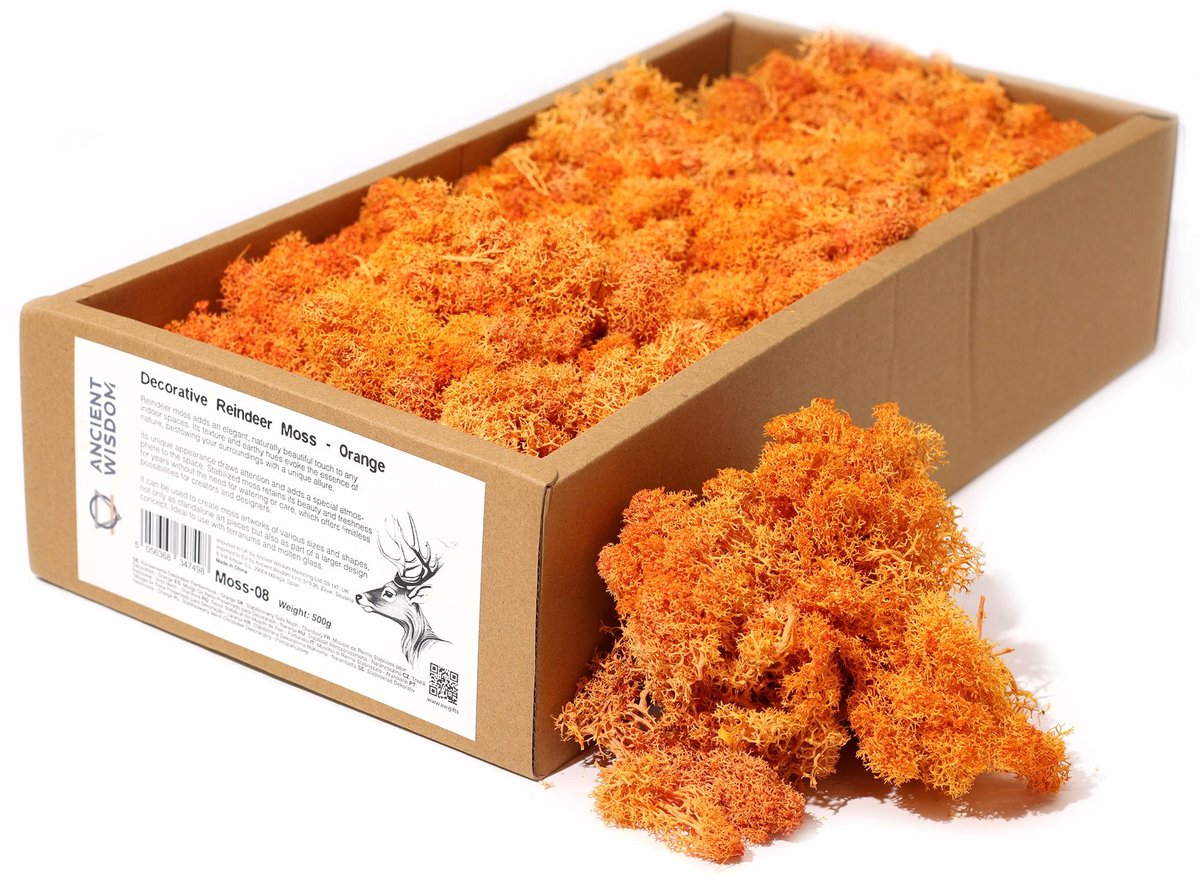 Rendiermos - Orange - 635g Box