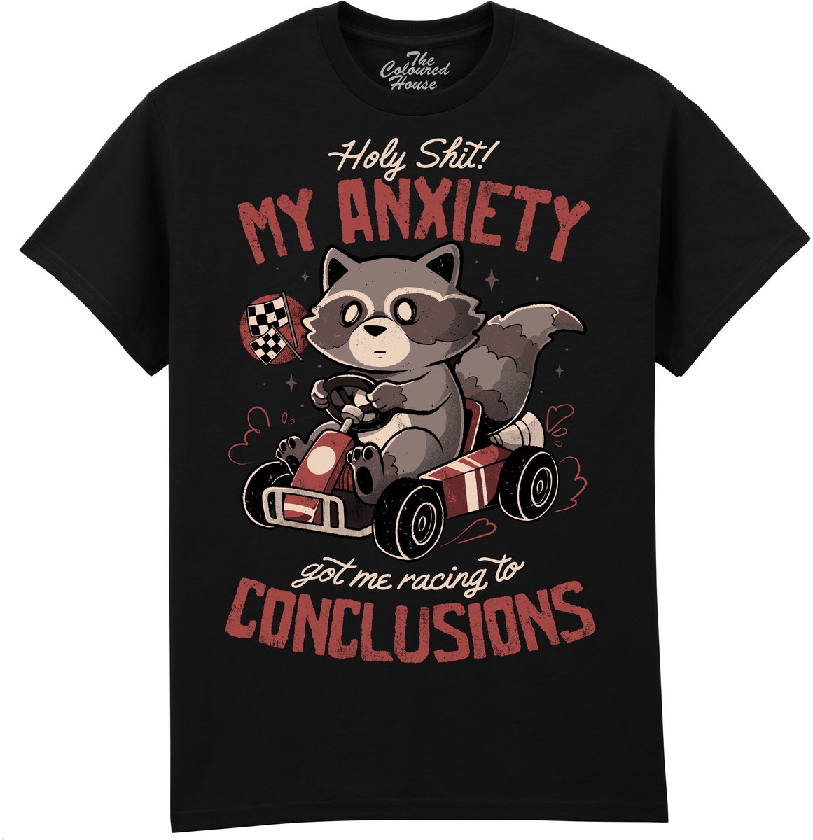 Racing To Conclusions The Coloured House T-shirt 4XL