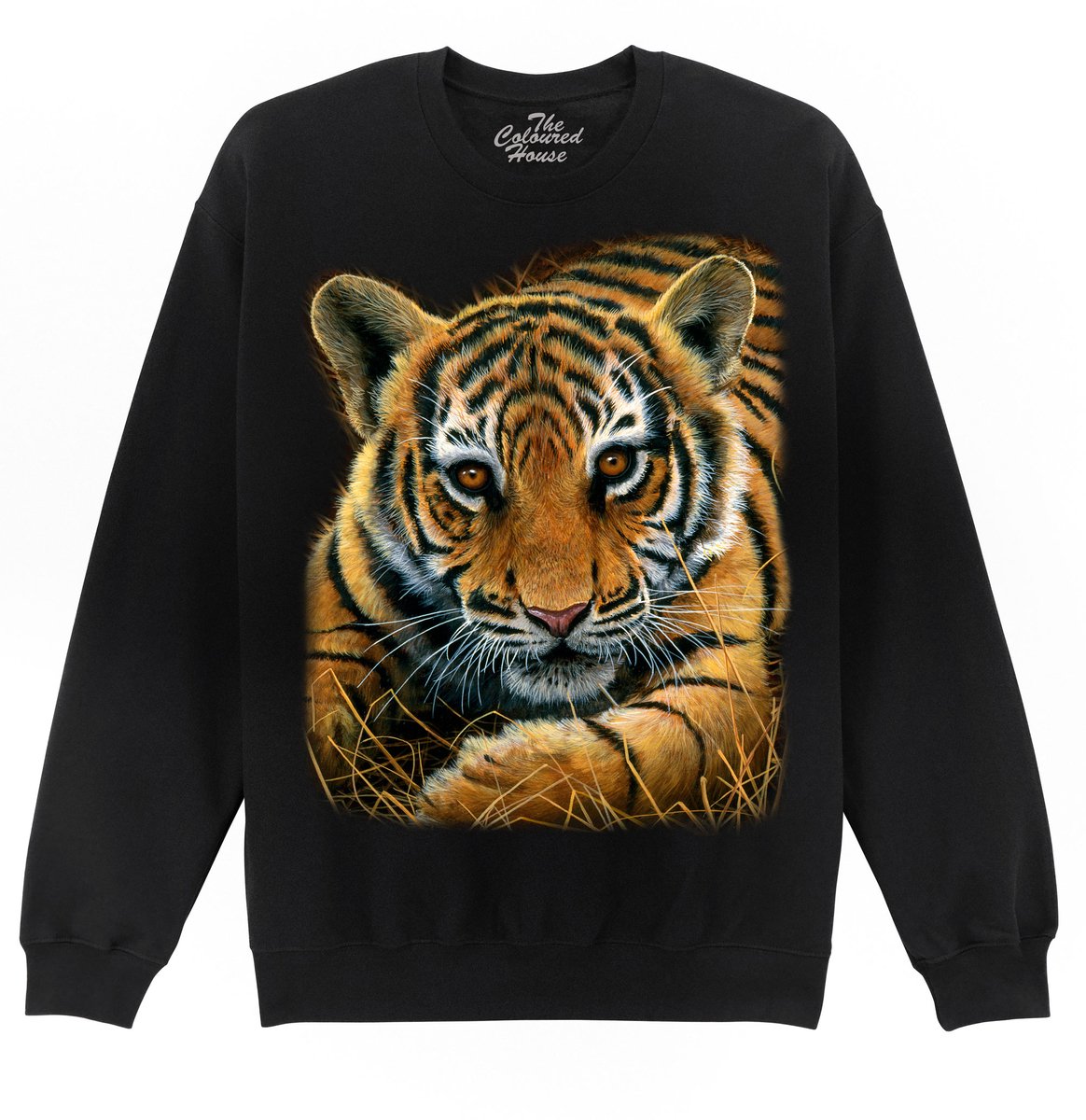 Tijger Welpje Tiger Cub The Coloured House Sweater 3XL