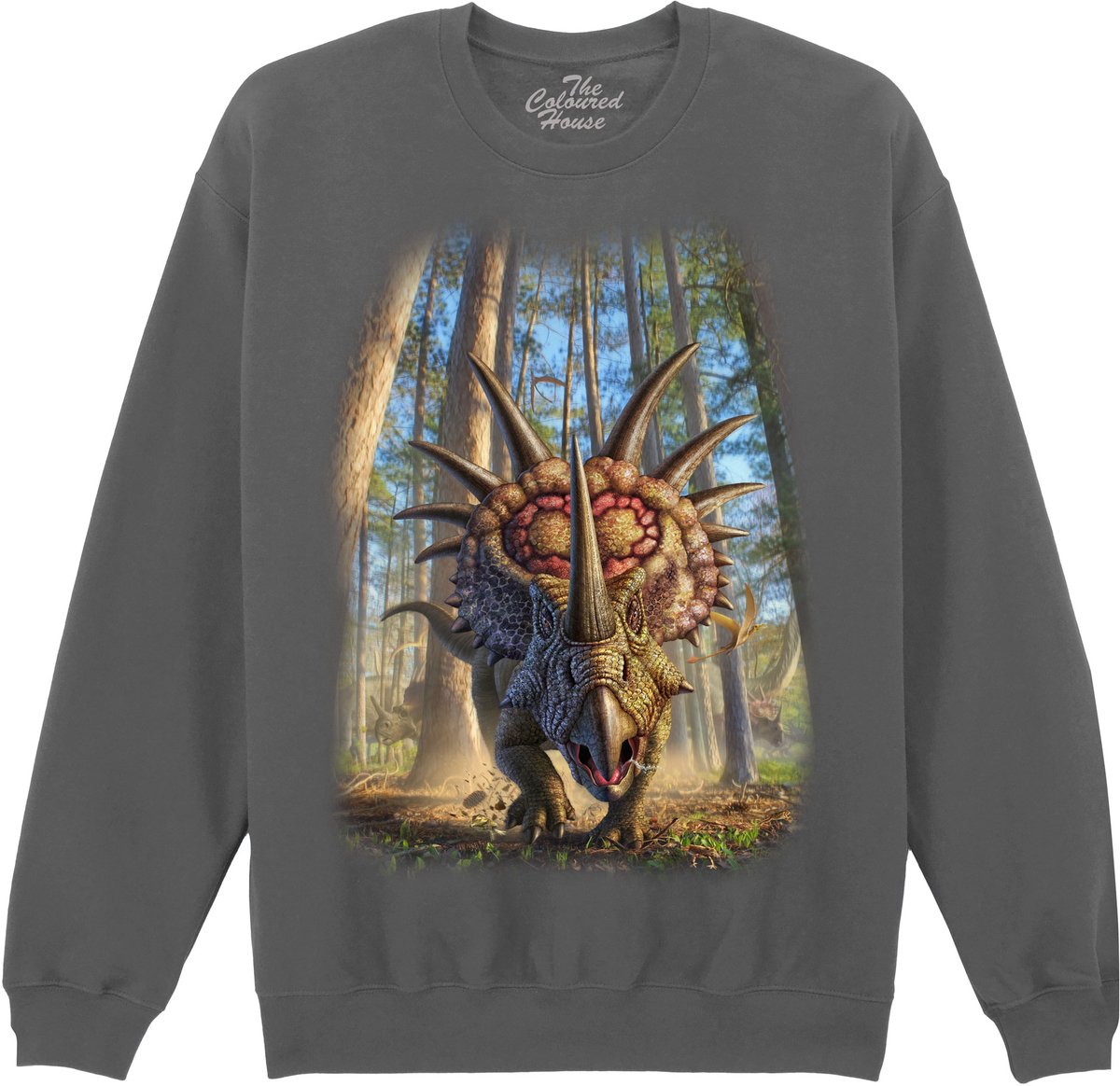 Dino Styracosaur The Coloured House Sweater XXL