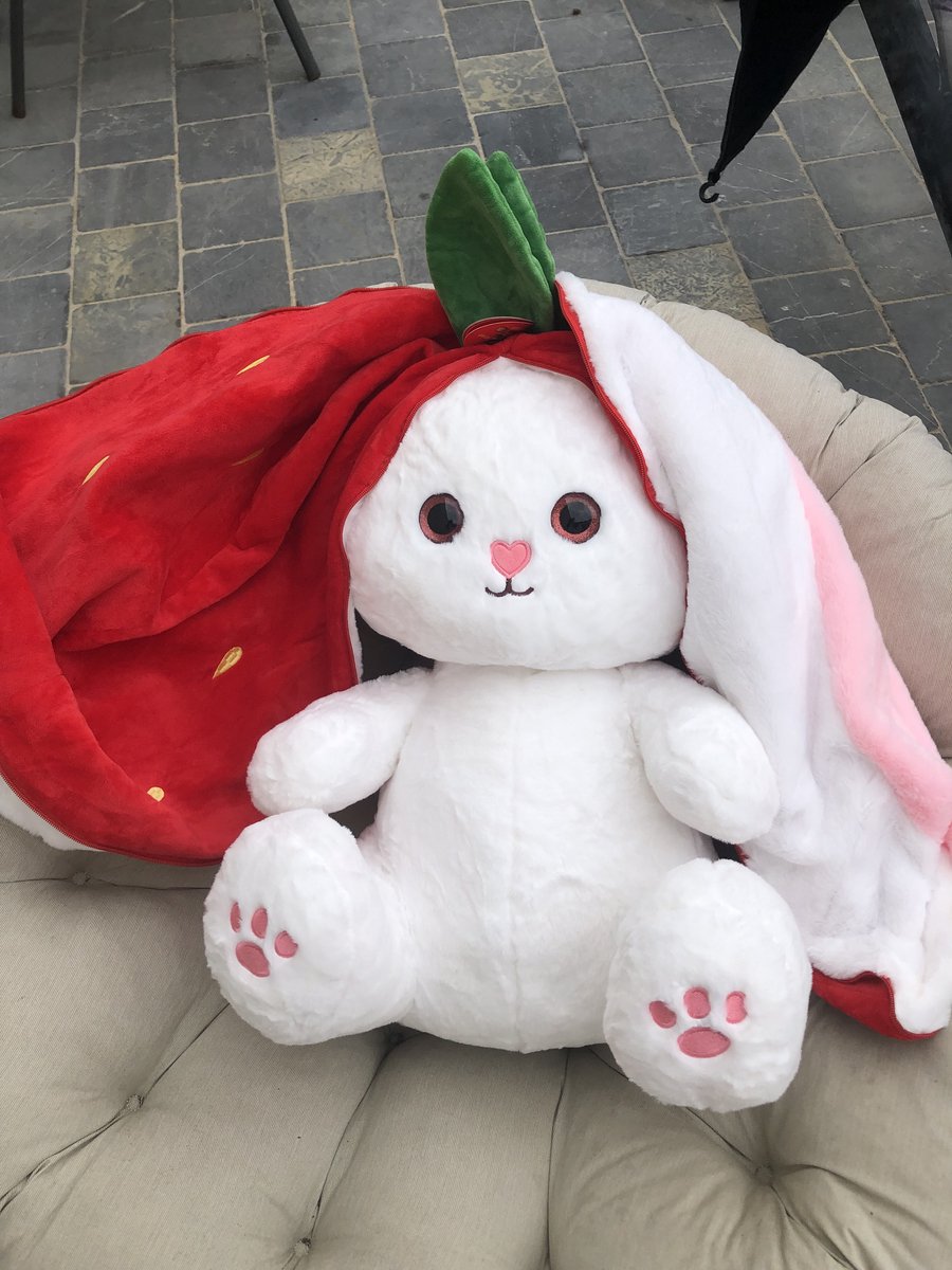omkeerbaar AARDBEI knuffel konijn