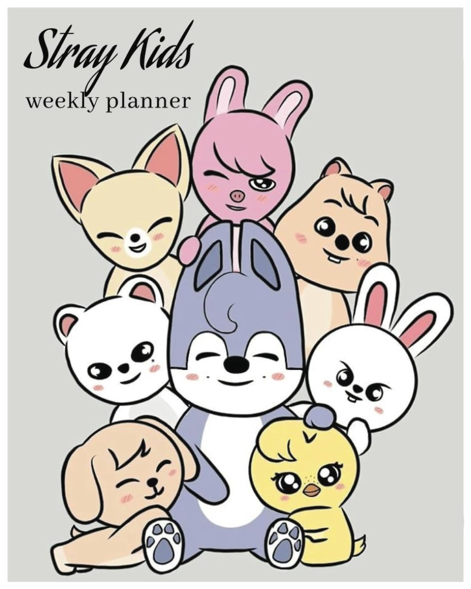 STRAY KIDS planner - ShopVlot