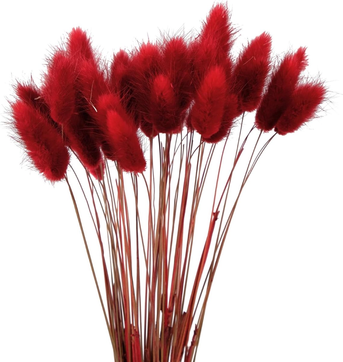 Natuurlijke Gedroogde Bloemen Decoratie - 60 Stuks, 40 cm, Fluffy Pampas Gras voor Boho Arrangements en Interieurdecoratie in Rood