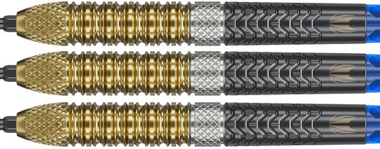Target Raymond van Barneveld G6 Swiss Point 95% - Dartpijlen 25 Gram van Target — afbeelding 4