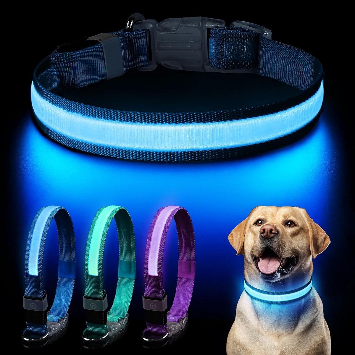 Lichtgevende Halsband - Blauw - M - Oplaadbare LED-halsband voor Honden - Voor Kleine, Middelgrote en Grote Honden