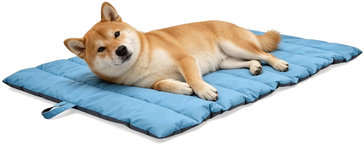 Famanu – Hondendeken voor onderweg, opvouwbaar en antislip, waterdicht, 110 x 68 cm, geschikt voor kleine en middelgrote honden, ideaal voor reizen en camping, blauw