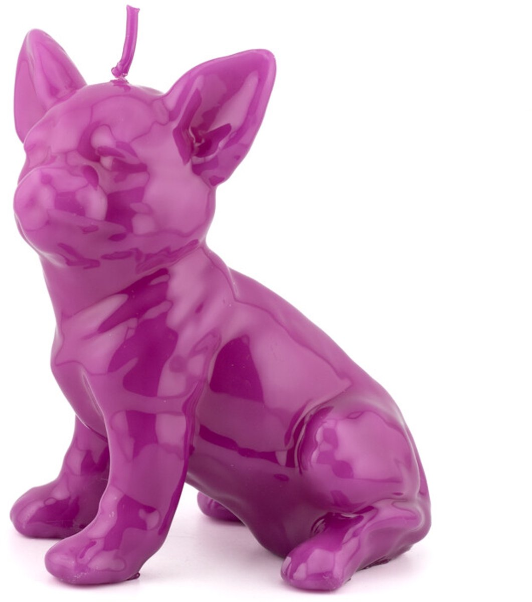 Kaars chihuahua paars