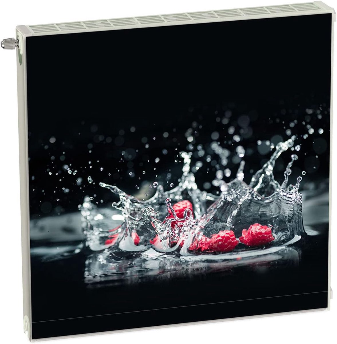 Magnetische Radiatorfolie - Decoratieve Cover - Interieur Verfraaien - Eenvoudige Bevestiging - 60 x 60 cm - Zwart Fruit