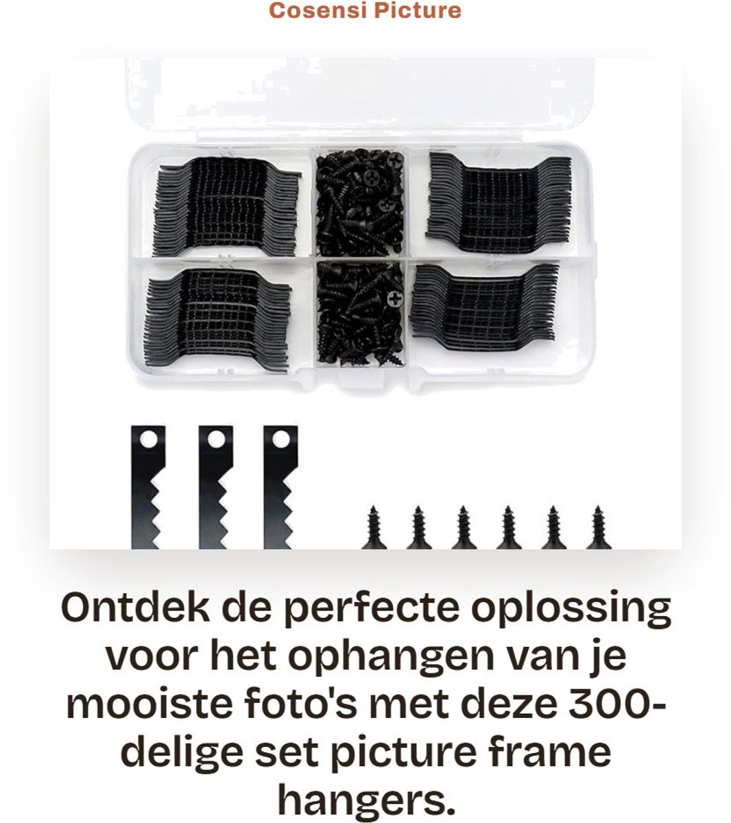 Dailygoods- Foto Ophanghaak - 100 Stuks - Zelfklevend - Met 200 Schroeven - Met Opbergdoos - Hoogwaardige Metaal - Rustbestendig - Fotohaak