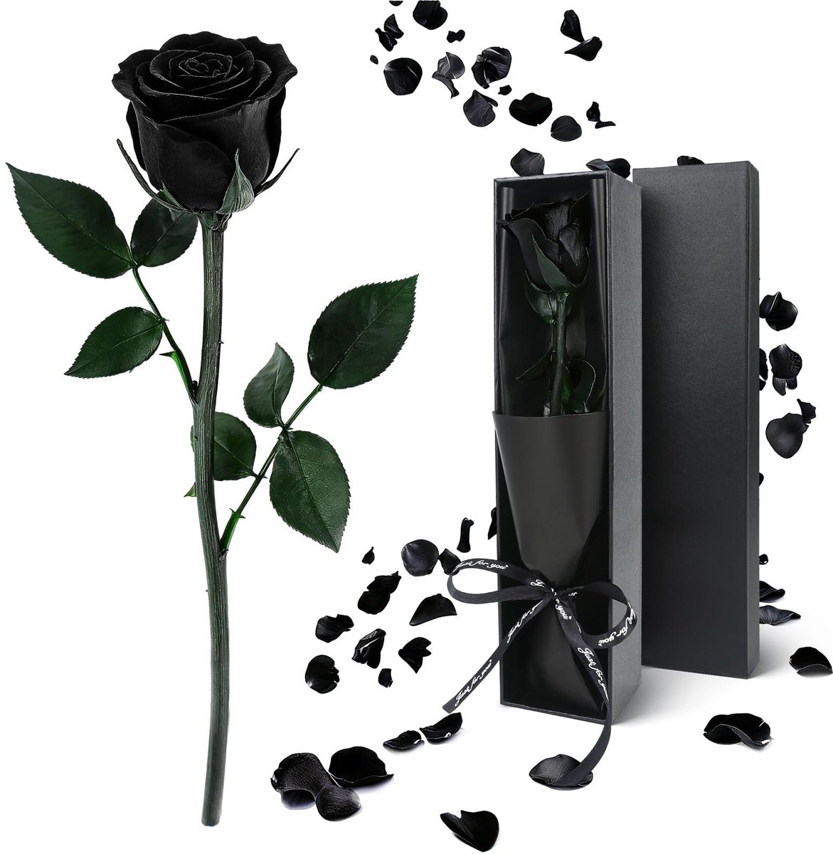 Dailygoods- Rozen Eeuwige Zwarte Rozen - Geconserveerde Rozen met Steel - Perfect Cadeau voor Vrouwen - Prachtige Geschenkdoos - Duurzaam en Onderhoudsvrij