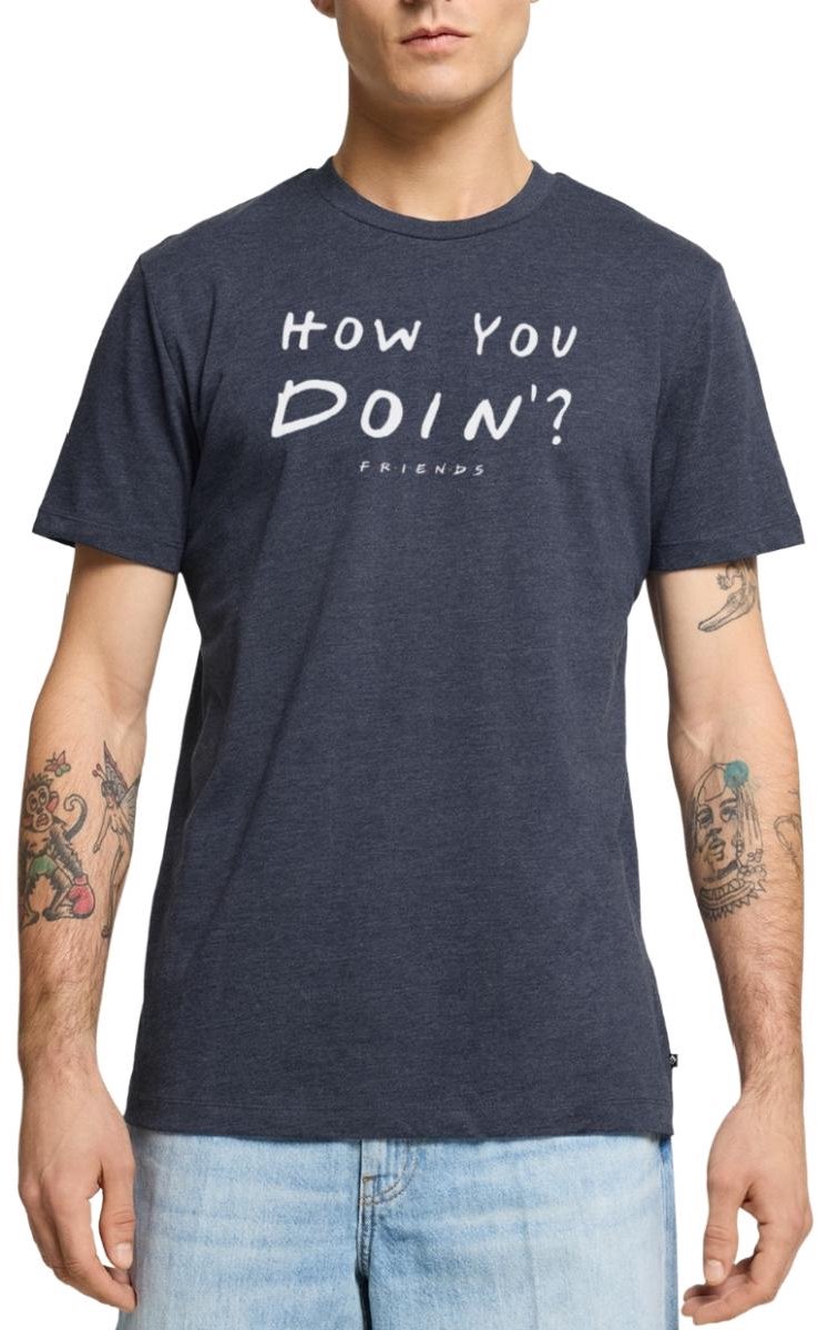 Friends How You Doin' Citaat Premium T Shirt Heren