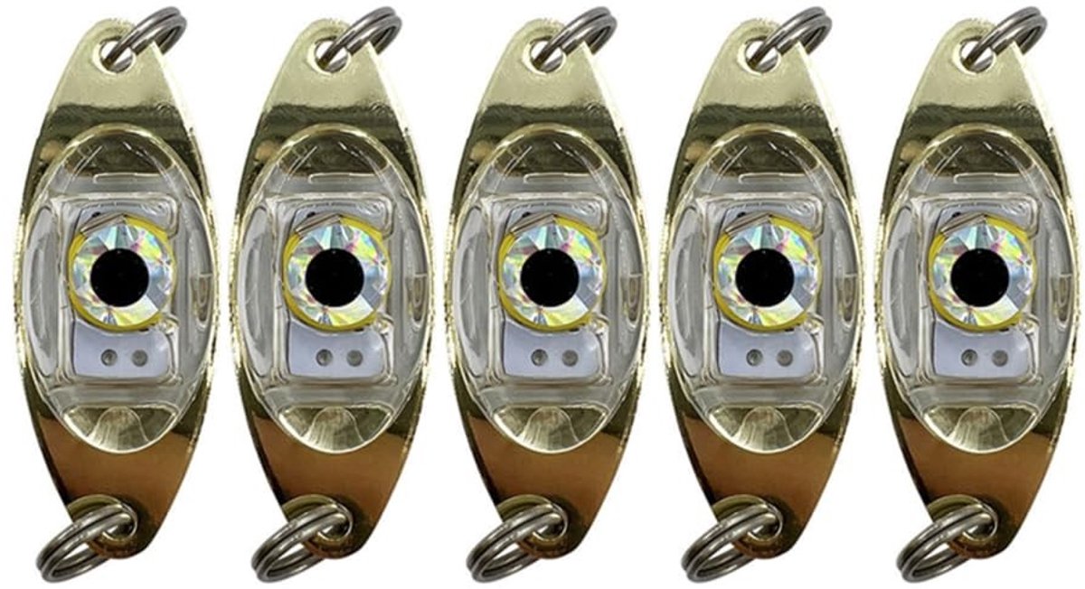 Dailygoods - Vissen Lokken Lichten - Onderwater Lampen - Duurzaam en Drukbestendig - Geschikt voor Boot en Zee - Fisheye Ontwerp - Ideaal voor IJs Vissen