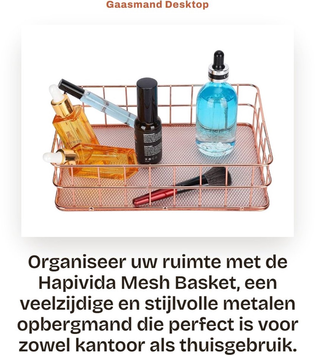 Dailygoods- Opbergmand Draad - Roestvrij Staal - Bureauorganisatie - Kledingopslag - Keukenopslag - 24,1 x 16,2 x 6,4 cm - Hoogwaardige Materialen - Opbergbak