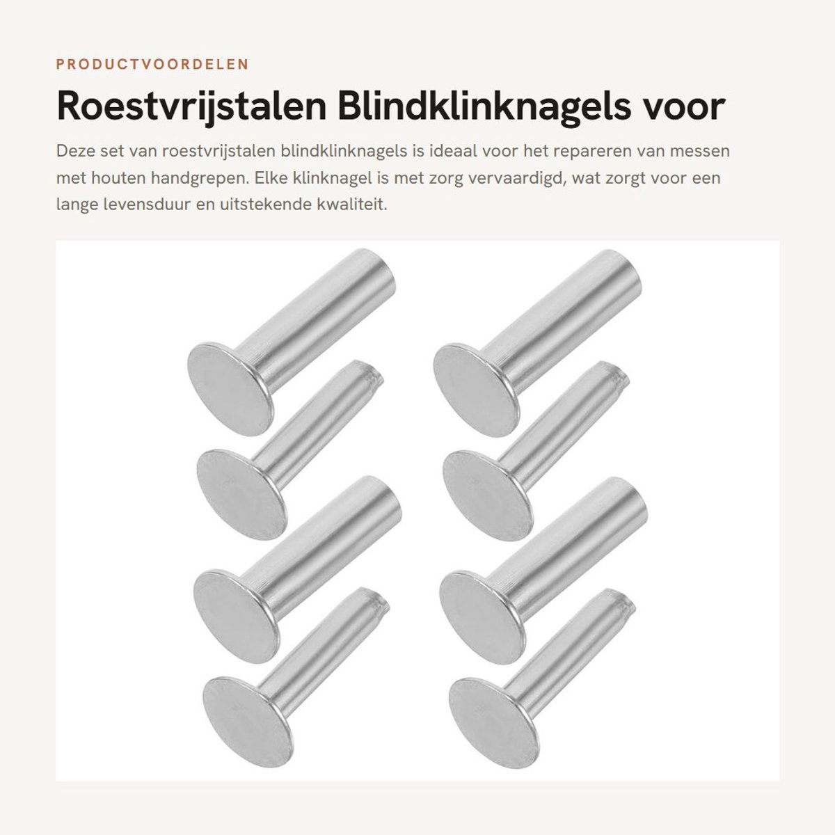 Dailygoods - Roestvrijstalen Blindklinknagels voor Messenreparatie