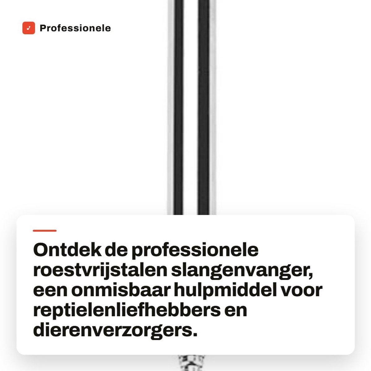 Dailygoods- Slangenvanger Professionele Kwaliteit - Uitschuifbare Vanghaak - Roestvrij Staal - Ergonomisch Handvat - Verstelbare Lengte 16,5-68 cm - Veilig Vangen van Reptielen - Reptielenhaak