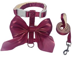 Top 10 kattentuigjes, kattenhalsbanden en riemen 2026: Dailygoods kattenharnas met riem en strik rood