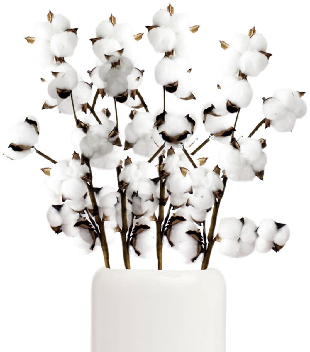 Dailygoods - Natuurlijke Katoenen Tak met Gedroogde Bloemen - 4 Stuks voor Decoratie
