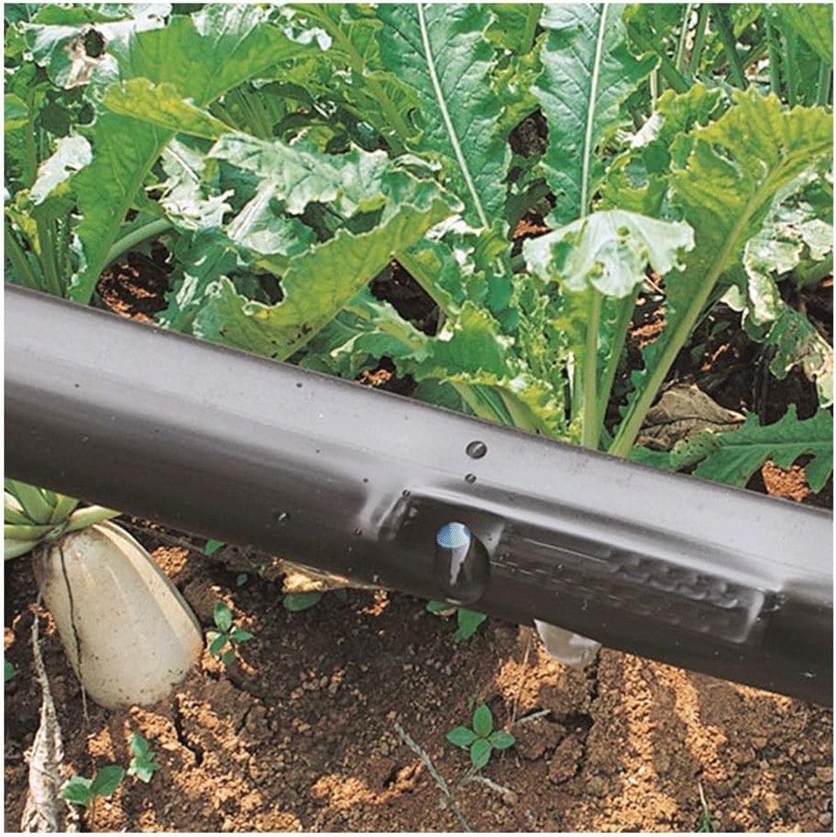 Druppelslang - Irriatiebuis - Planten Water Geven - Flexibel Polyethyleen - 25 Meter - Zwart