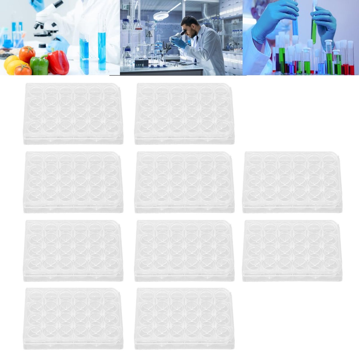 Dailygoods- Celcultuurplaat 10 Stuks - Stevige Kunststof - Hoge Transparantie - Weefselkweek Plaat - Geschikt voor Laboratorium - Eenvoudige Observatie - Kweekplaat