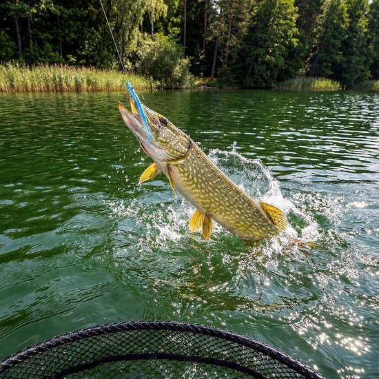 6-delige rubberaas set met jigkop voor snoekbaars, forel en baars - ideaal kunstaas voor zoet en zoutwater vissen (12 cm) — afbeelding 3